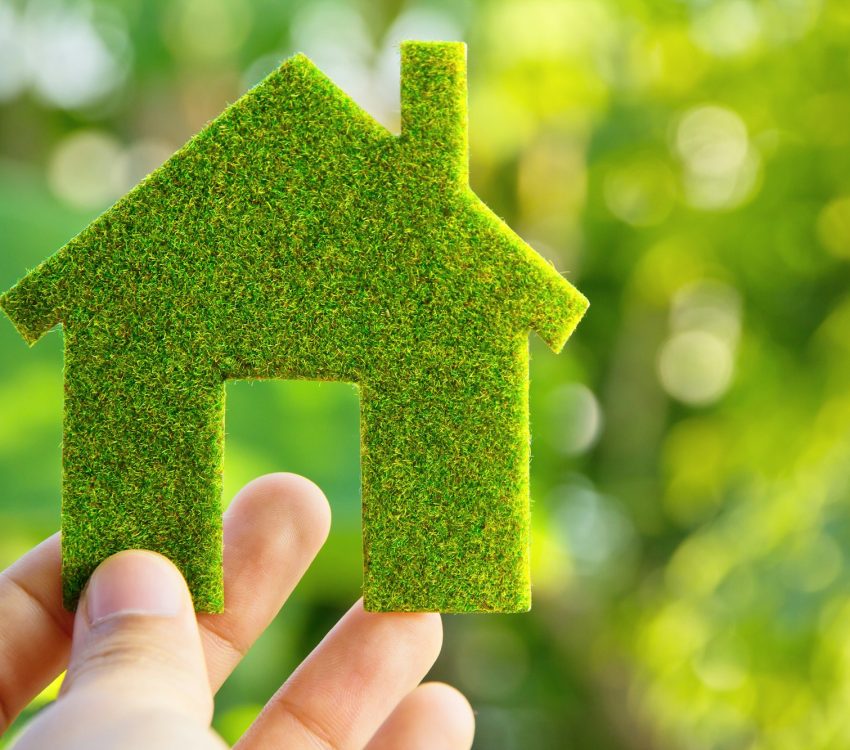 Eco house concept Eco house concept